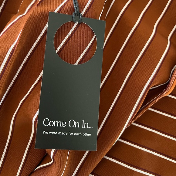 Privacy Please Curtis Mini Dress in Tan Stripe - Picture 12 of 15